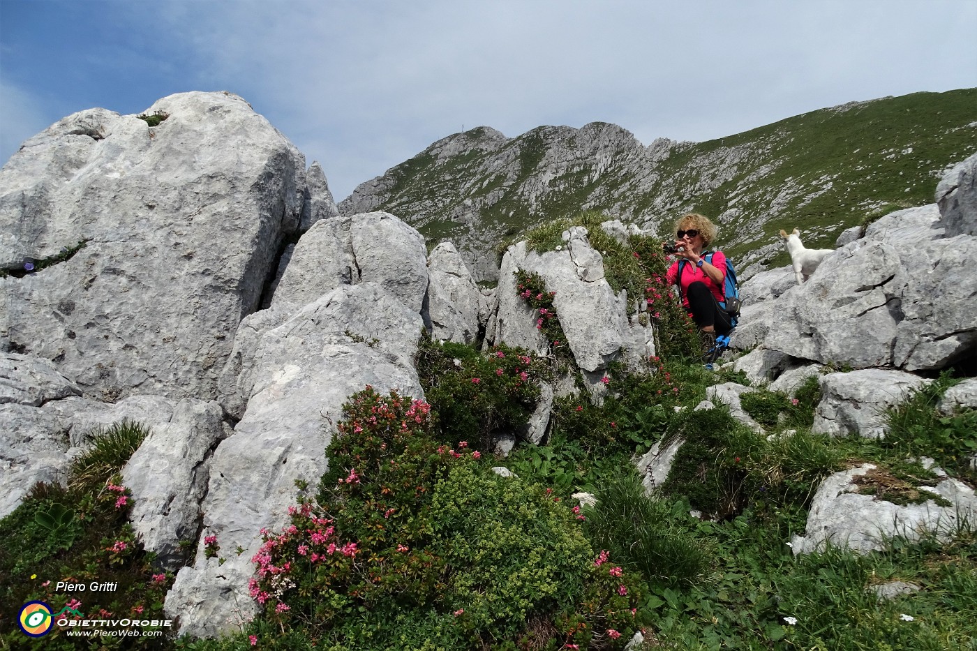 28 Rododendro irsuto (Rhododendron hirsutum) con vista in Corna Piana.JPG